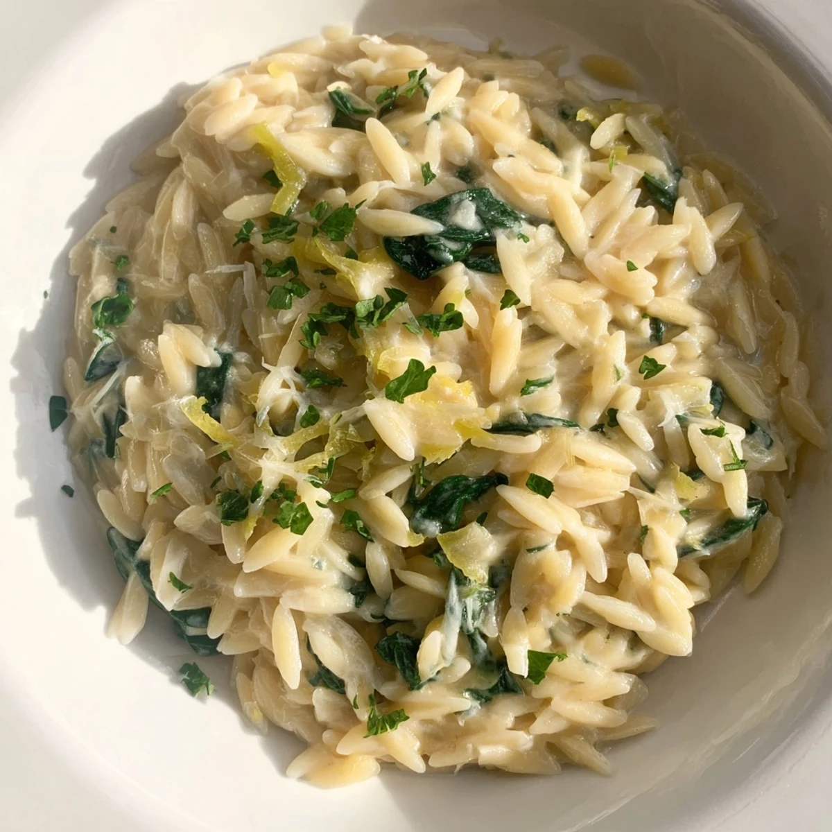 Steaming plate of One-Pot Creamy Orzo, a comforting pasta dish with fresh parsley garnishing.