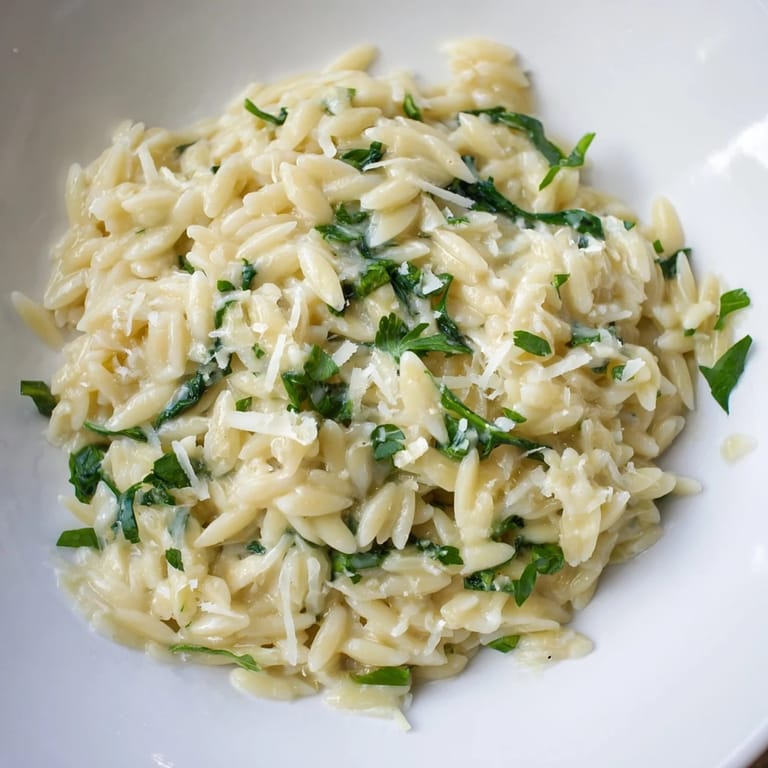 Golden-hued One-Pot Creamy Orzo glistening, showcasing the perfectly cooked orzo and melted cheeses.